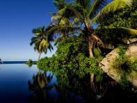 BANYAN TREE SEYCHELLES