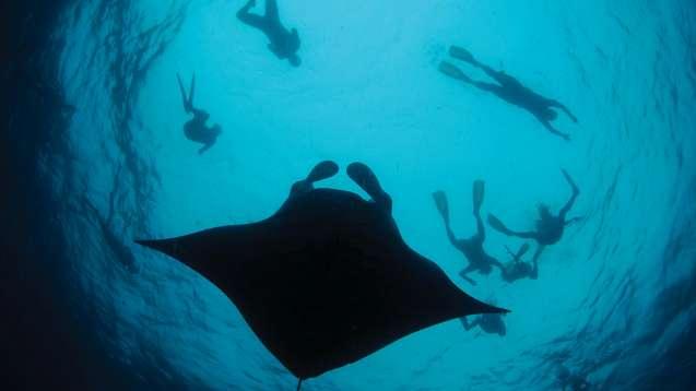 Four Seasons Resort Maldives at Landaa Giraavaru