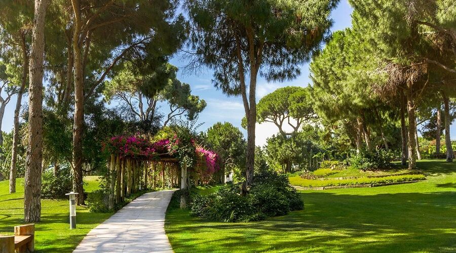 Regnum Carya