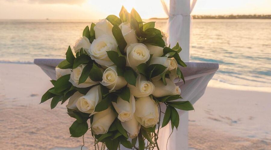 OBLU NATURE Helengeli by Sentido