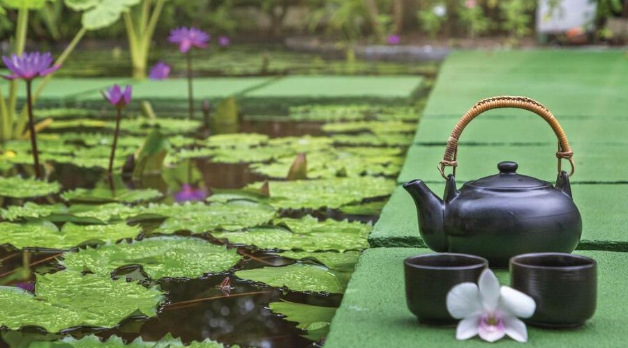 OBLU NATURE Helengeli by Sentido