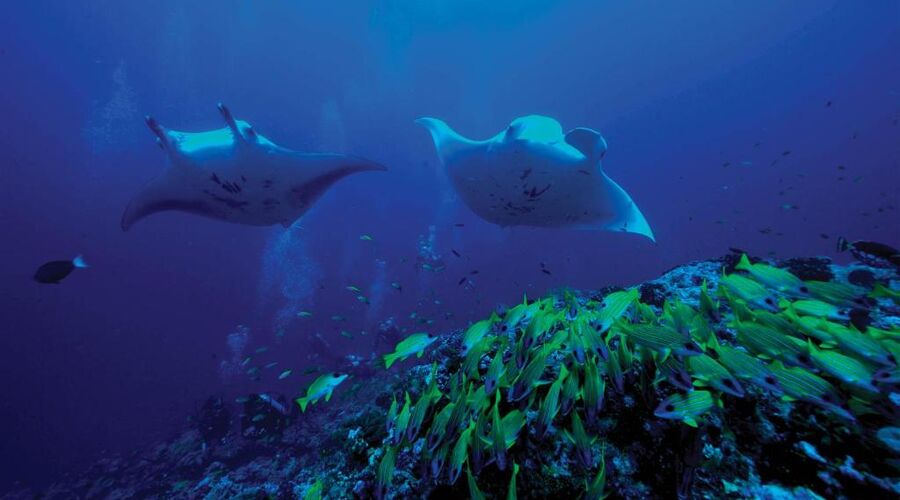 OBLU NATURE Helengeli by Sentido