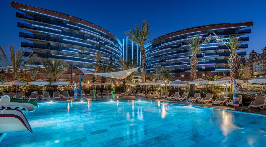 Calyptus Kirman Premium