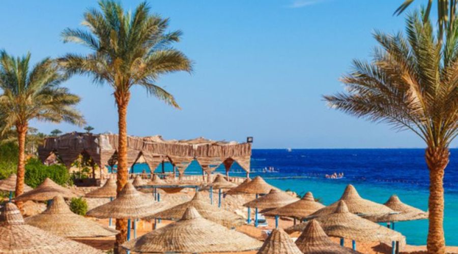 SHARM EL SHEIKH & KAHİRE & İSKENDERİYE TURU TÜRK HAVA YOLLARI İLE 3 GECE