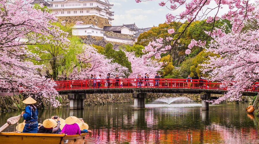 ELEGANT JAPONYA & GÜNEY KORE (Sakura Dönemi) Qatar Hava Yolları 
