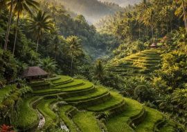 ELEGANT BALİ & UBUD Türk Hava Yolları ile 5 Gece