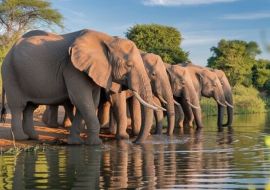 ELEGANT RUANDA & UGANDA Türk Hava Yolları ile 8 Gece